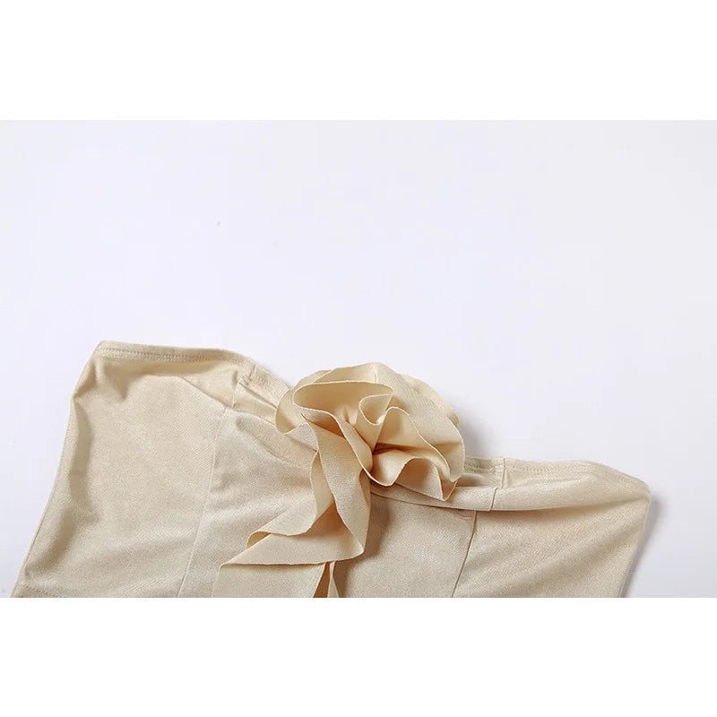 European and American Style Women's Clothing Fashion Sexy Chest-wrapped Small Vest Slim-fitting Hip-wrapped Skirt Suit Women